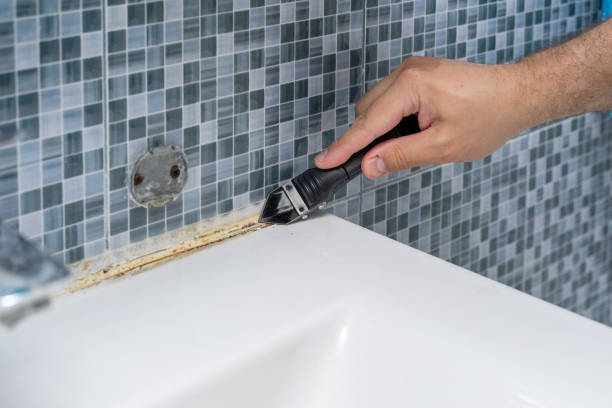 Best Residential Mold Remediation in Bryn Athyn, PA
